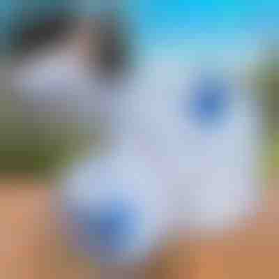 Recipient pliabil pentru apă (10L) | AQUATANK