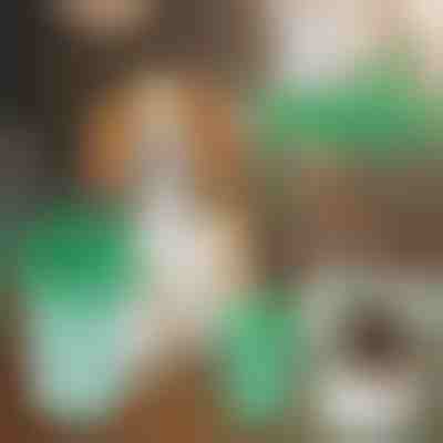 Dispozitiv de curățare pentru lăbuțele animalelor de companie | PAWSANI