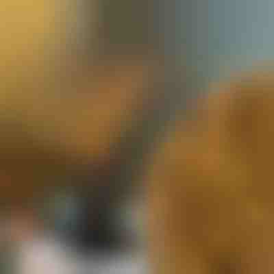 Ramuri luminoase decorative | BRANCHLUMOS
