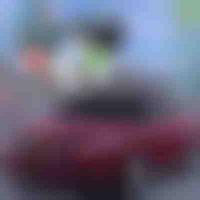 Husă inteligentă pentru parbriz | CARCOVER