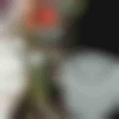 Suporturi pentru flori pentru aranjamente uimitoare (3pcs) | VASEKA